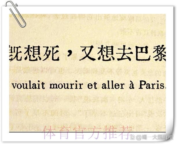 沙伊尔曼谈防守文班：你只能尝试去施压，然后祈祷他投不进